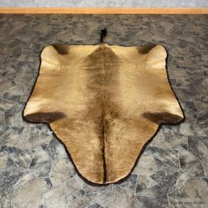 Cape Hartebeest Tanned Skin Taxidermy Rug For Sale #22545 @ The Taxidermy Store