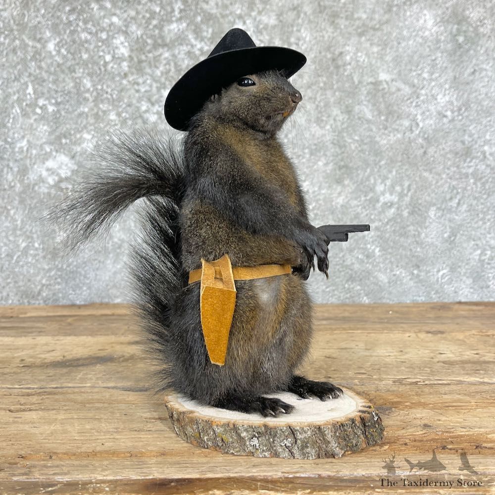 Cowboy Squirrel Novelty Mount For Sale #26396 @ The Taxidermy Store