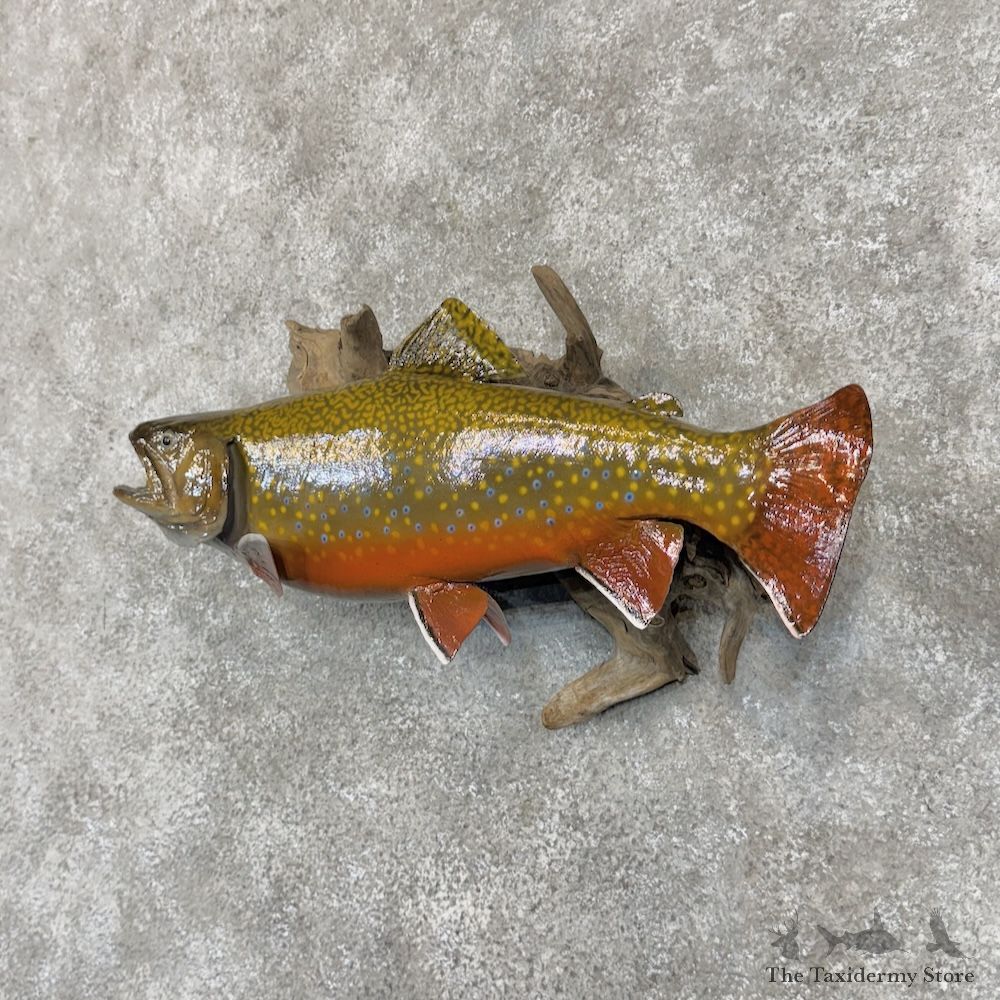 Brook Trout Fish Mount For Sale #29877 @ The Taxidermy Store