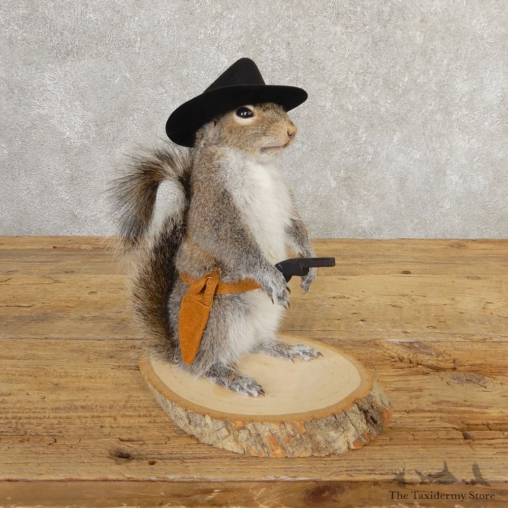 Cowboy Squirrel Novelty Mount For Sale #20722 @ The Taxidermy Store