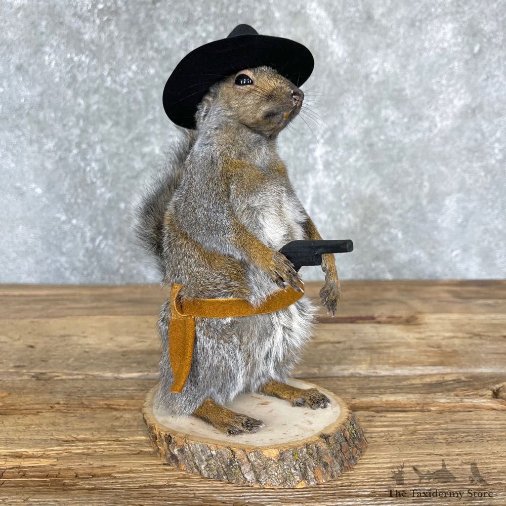 Cowboy Squirrel Novelty Mount For Sale #24356 @ The Taxidermy Store