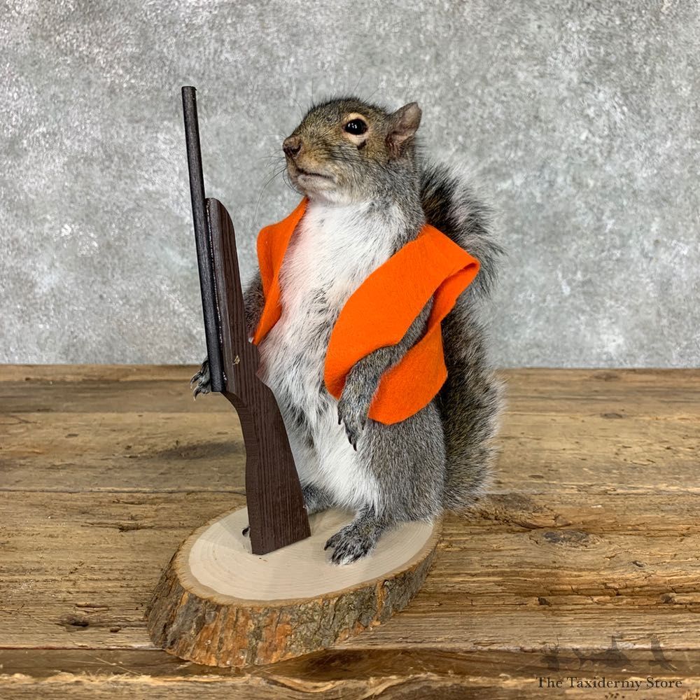 Hunting Squirrel Novelty Mount For Sale #22396 @ The Taxidermy Store