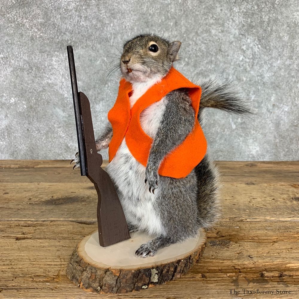 Hunting Squirrel Novelty Mount For Sale #22395 @ The Taxidermy Store