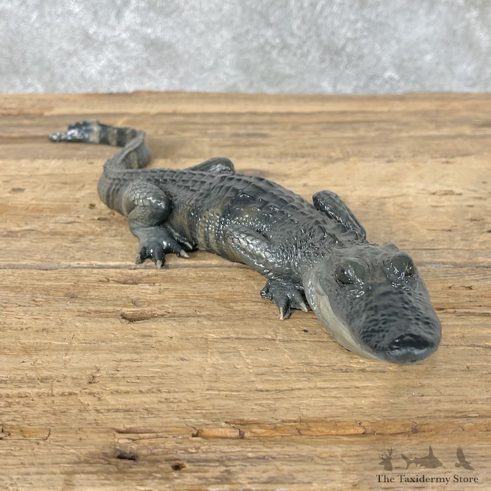 Alligator Replica Mount For Sale #26016 @ The Taxidermy Store