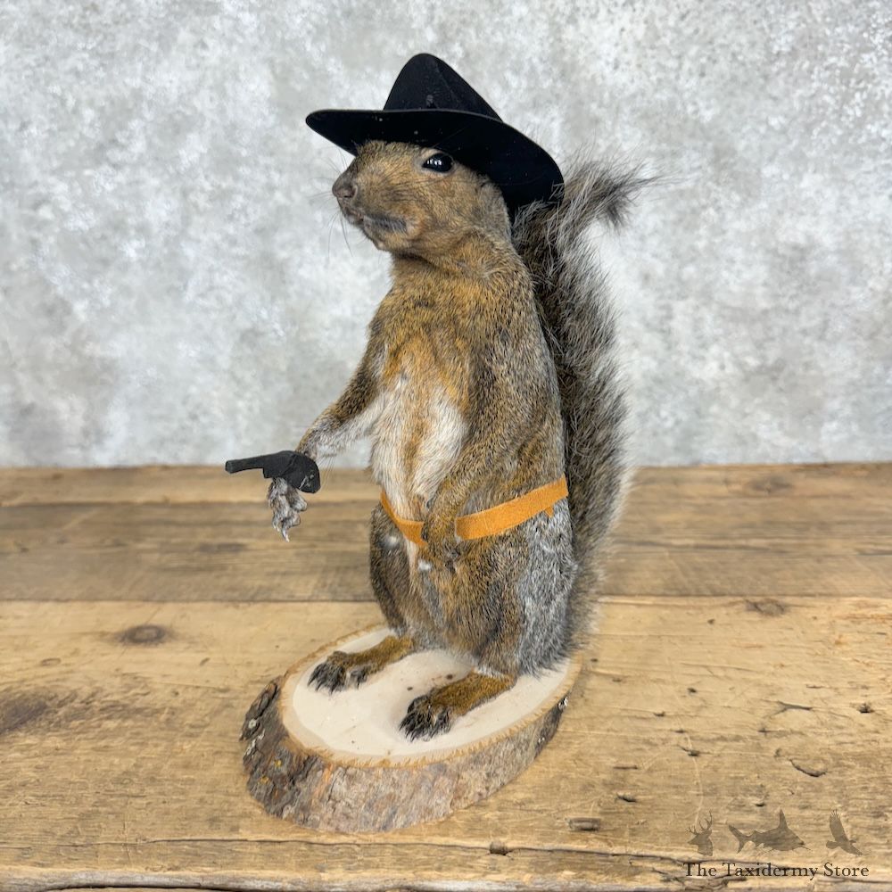 Cowboy Squirrel Novelty Mount For Sale #29475 @ The Taxidermy Store