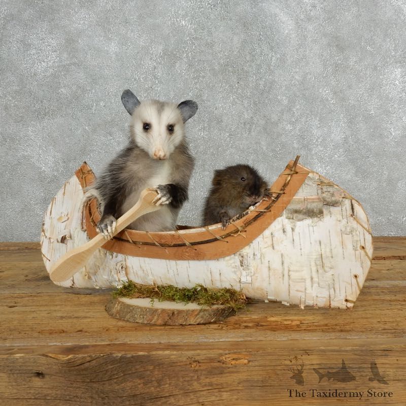 Canoeing Muskrat and Opossum Novelty Mount For Sale #18154 @ The Taxidermy Store