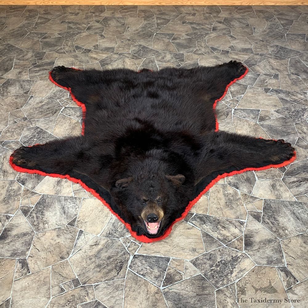 Black Bear Full-Size Rug For Sale #22102 @ The Taxidermy Store