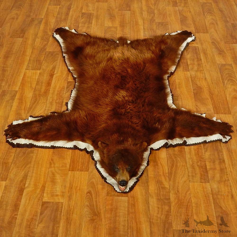 Cinnamon Black Bear Full-Size Rug For Sale #16605 @ The Taxidermy Store