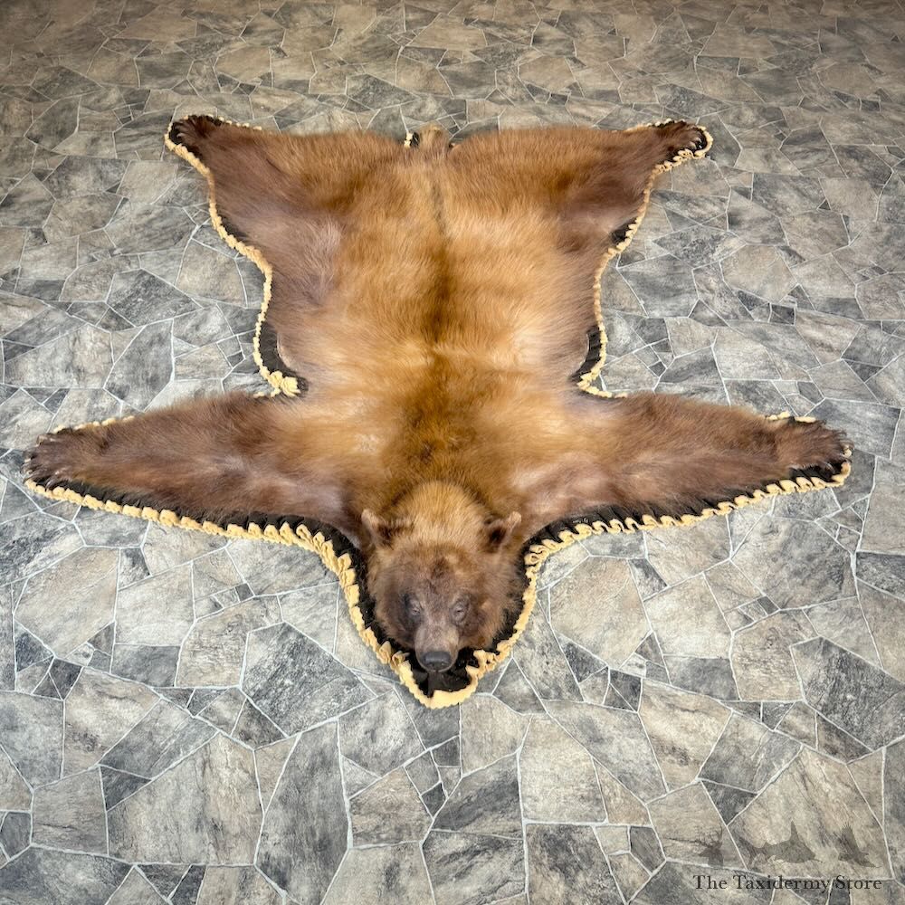 Cinnamon Black Bear Full-Size Rug For Sale #28831 @ The Taxidermy Store