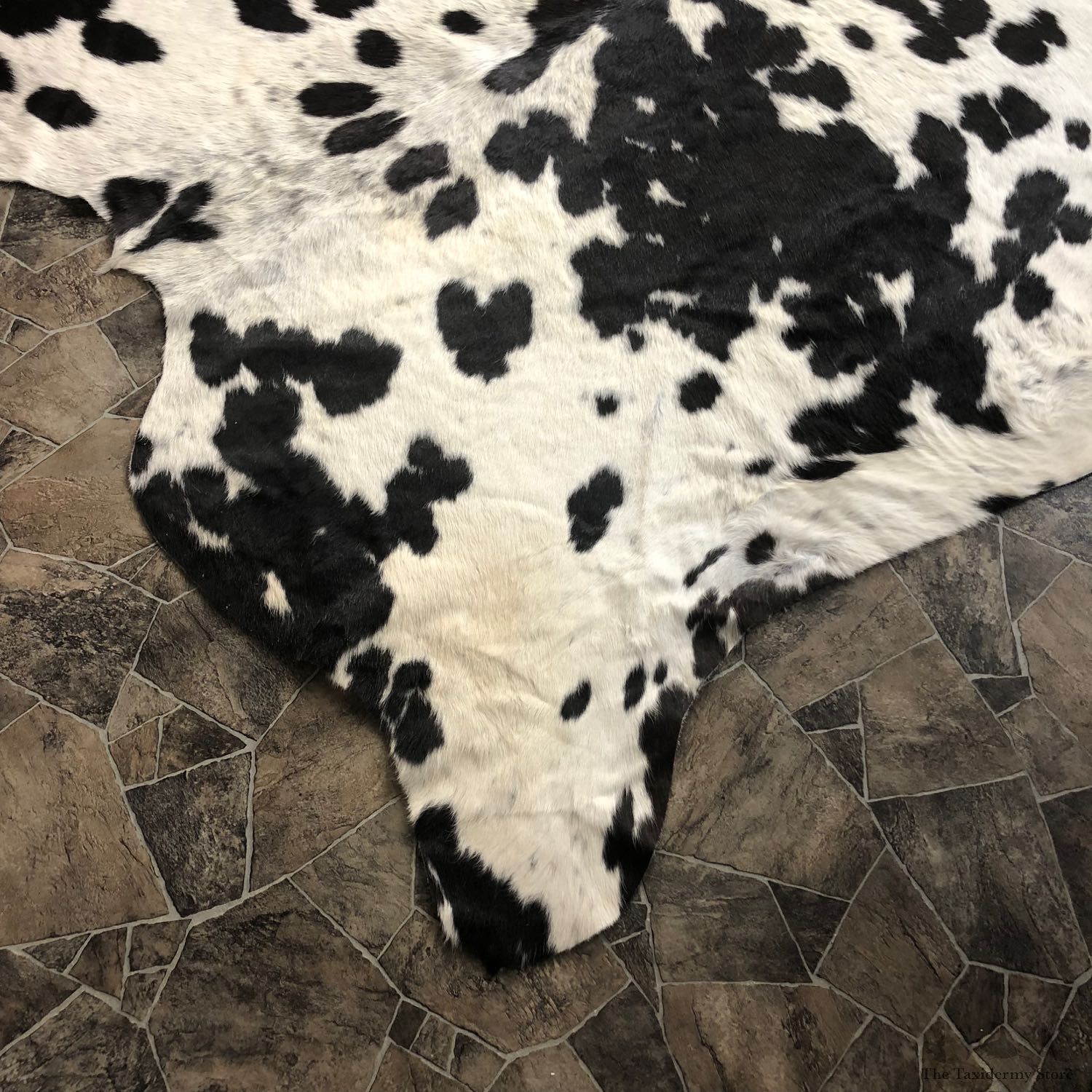 Black and White Cowhide Taxidermy Tanned Skin For Sale #20089 @ The Taxidermy Store