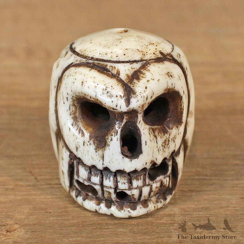 Authentic Native Ivory Carved Skull Figurine #12091 For Sale @ The Taxidermy Store