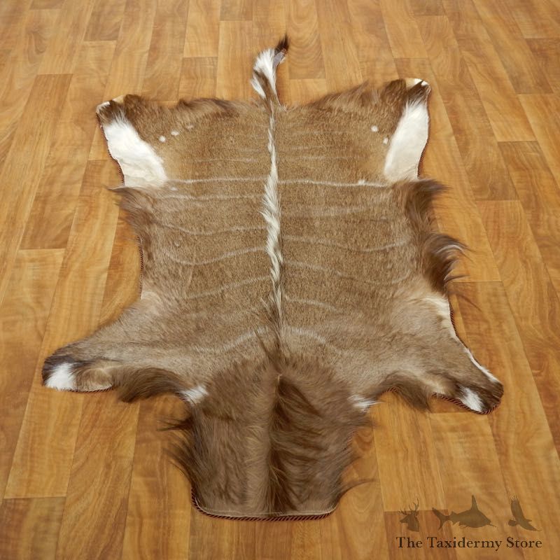 Nyala Rug Mount For Sale #17496 @ The Taxidermy Store