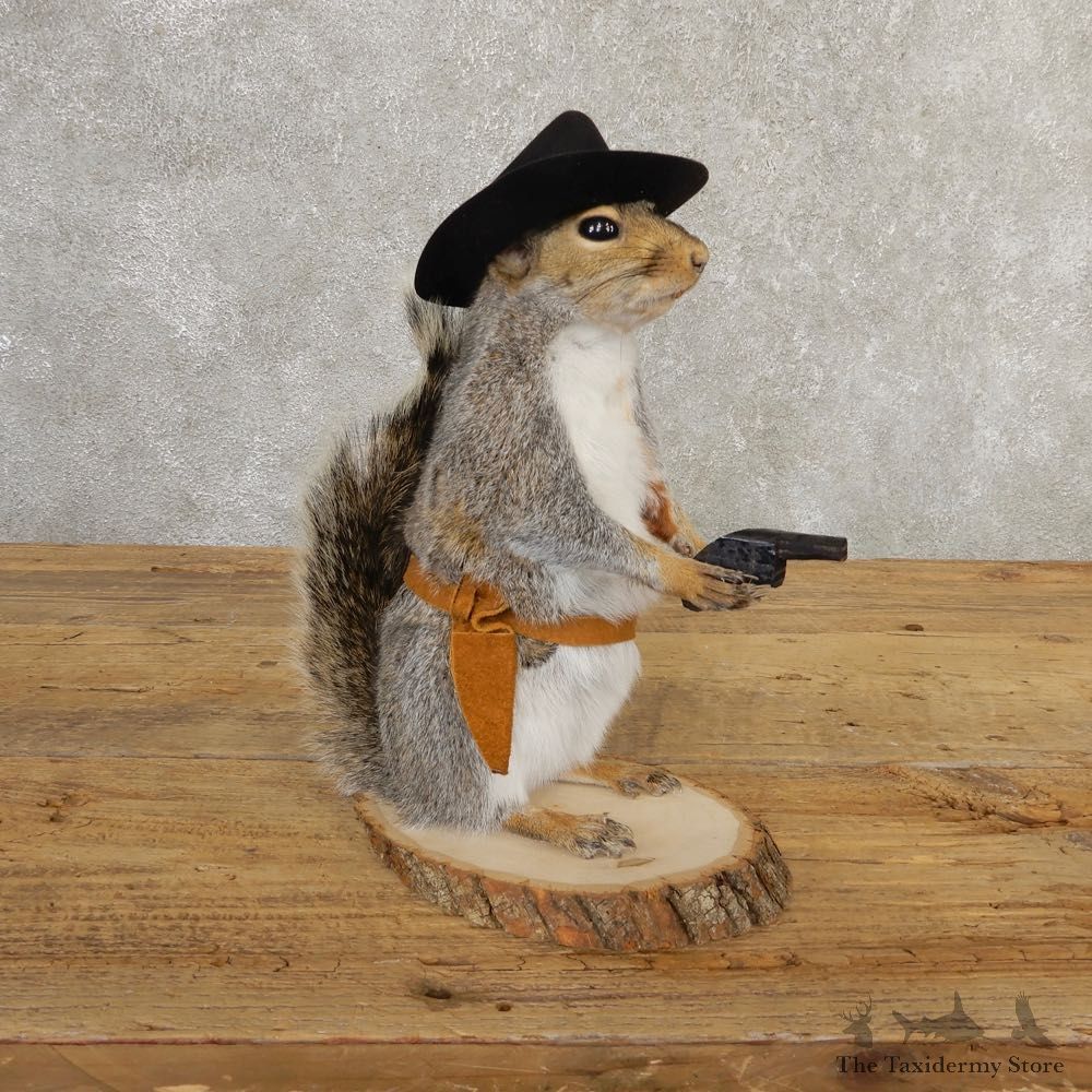 Cowboy Squirrel Novelty Mount For Sale #20726 @ The Taxidermy Store