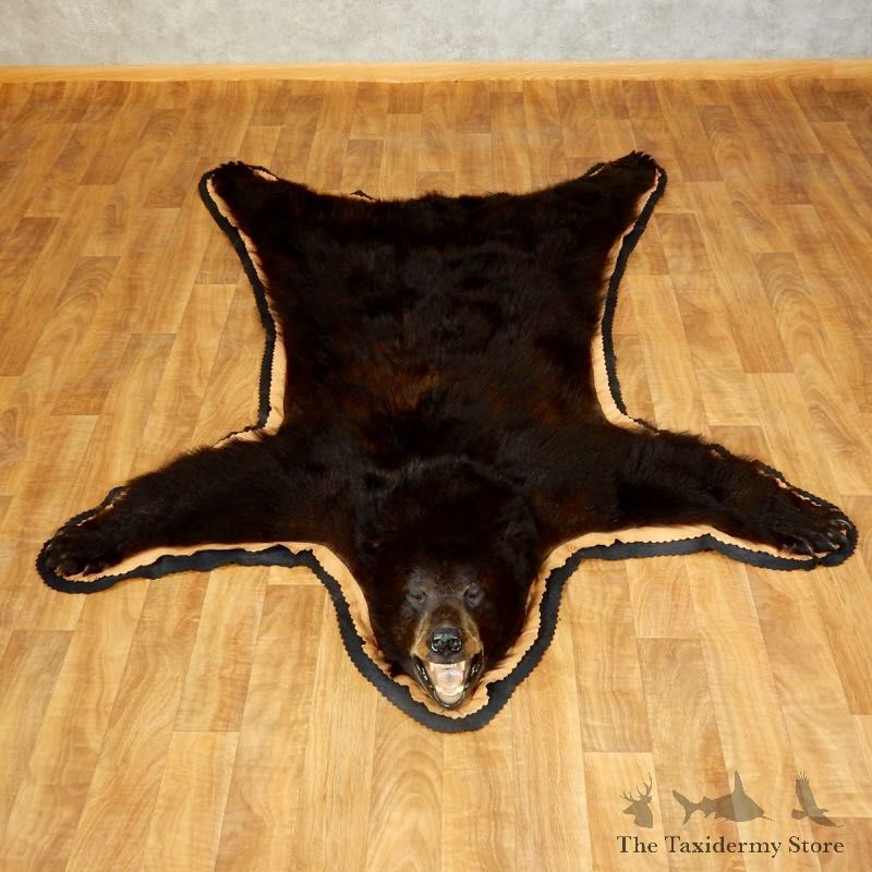 Black Bear Full-Size Rug For Sale #17251 @ The Taxidermy Store