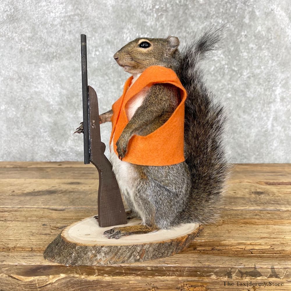 Hunting Squirrel Novelty Mount For Sale #24033 @ The Taxidermy Store