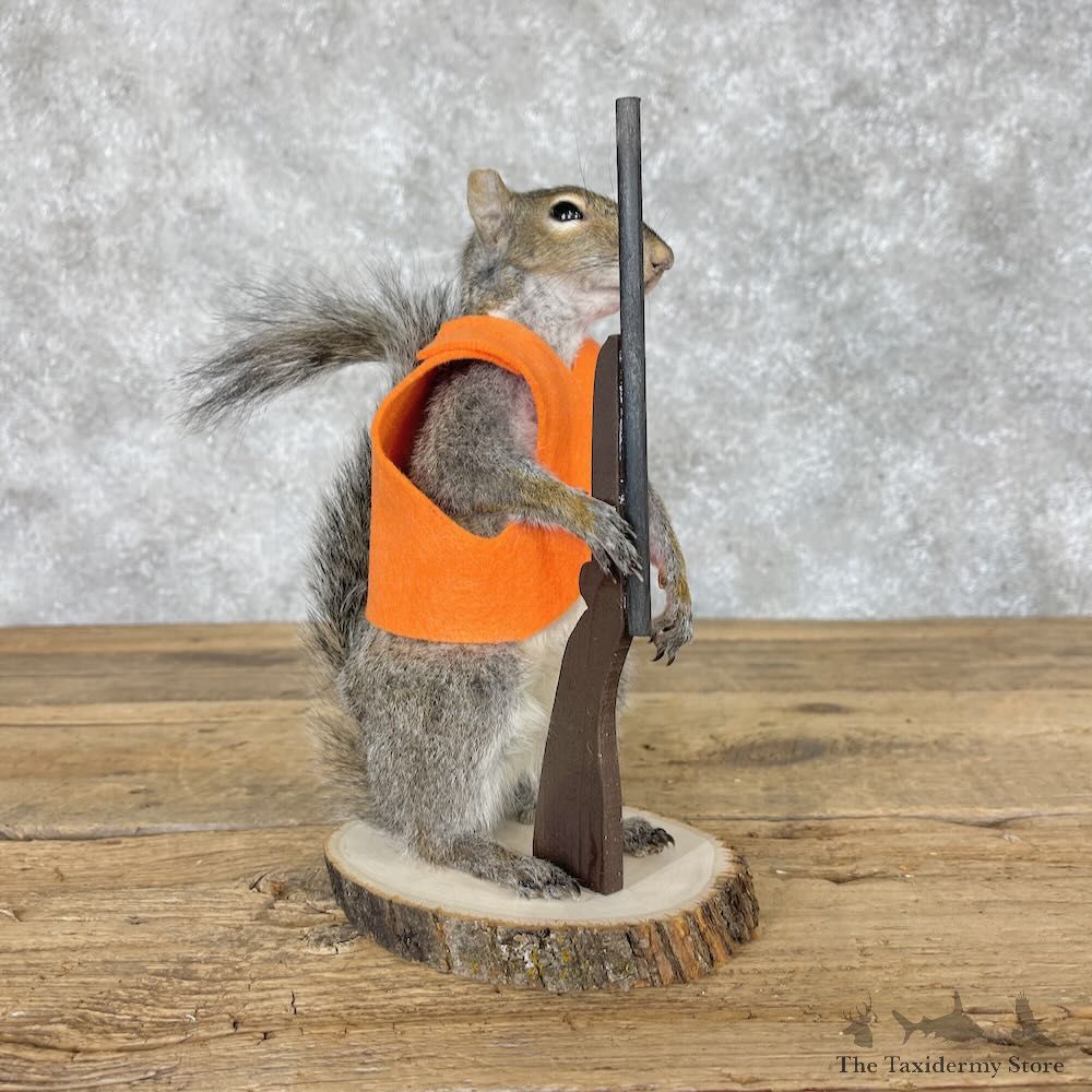 Hunting Squirrel Novelty Mount For Sale #28611 @ The Taxidermy Store