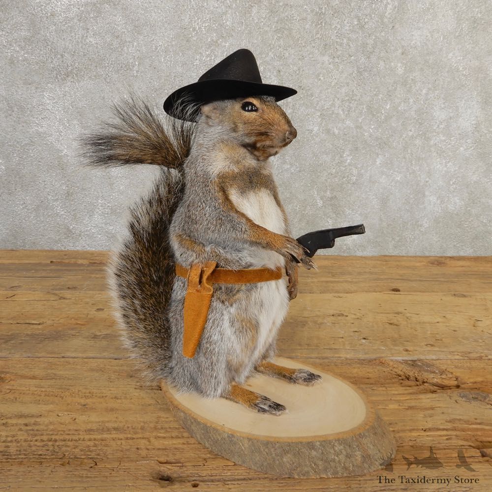 Cowboy Squirrel Novelty Mount For Sale #20723 @ The Taxidermy Store