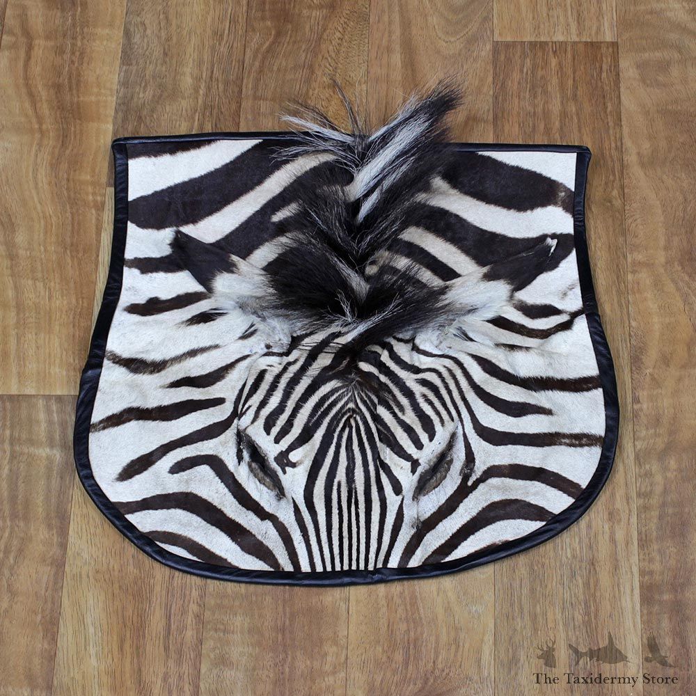 African Zebra Head Rug Taxidermy Mount #11067 For Sale @ The Taxidermy Store