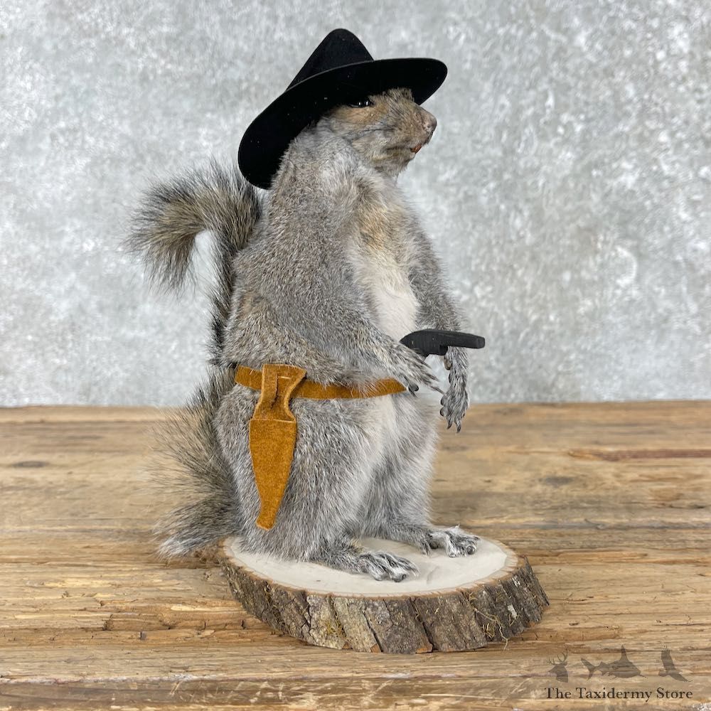 Cowboy Squirrel Novelty Mount For Sale #26086 - The Taxidermy Store