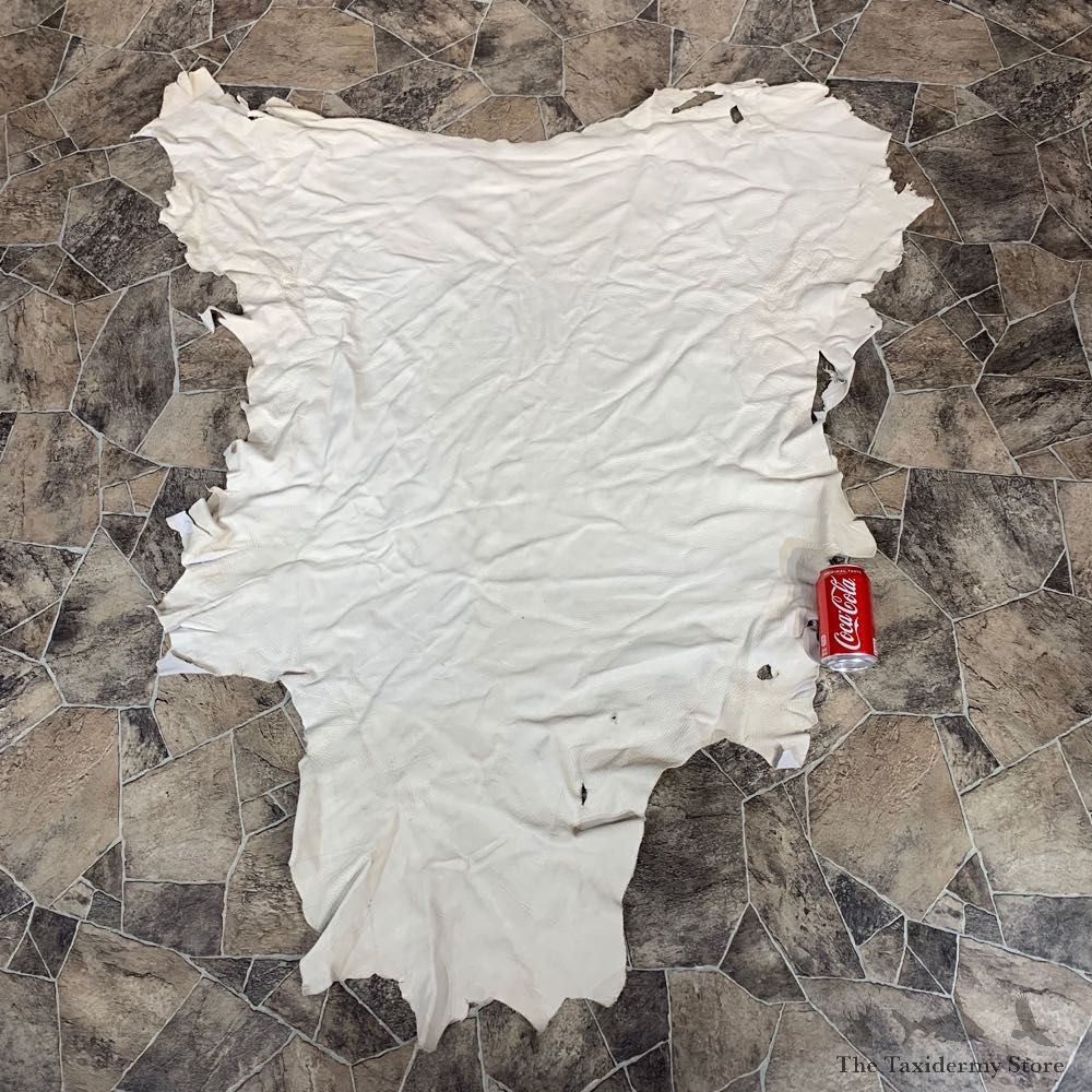 Buckskin Soft Tan Leather For Sale #22036 @ The Taxidermy Store