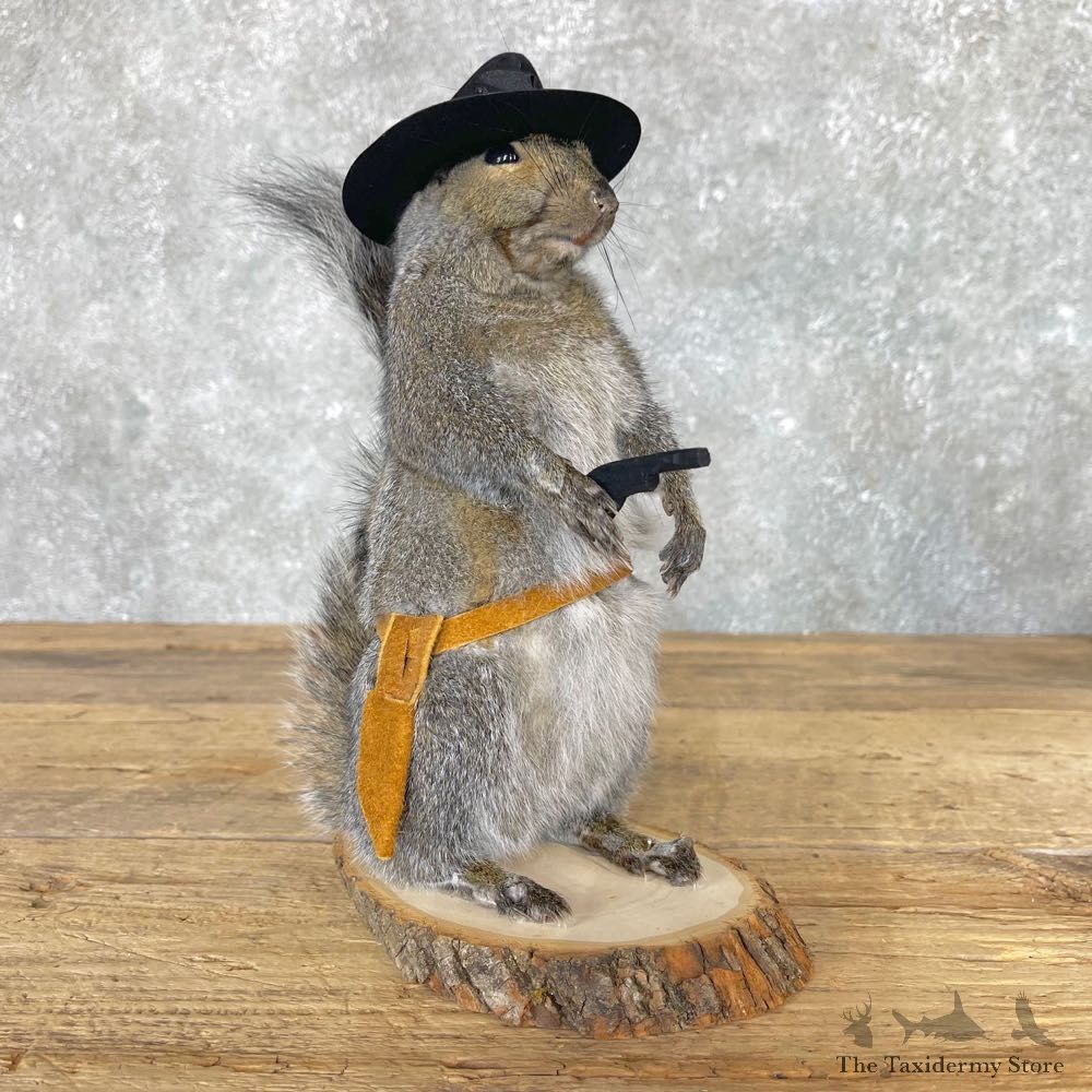 Cowboy Squirrel Novelty Mount For Sale #24977 @ The Taxidermy Store