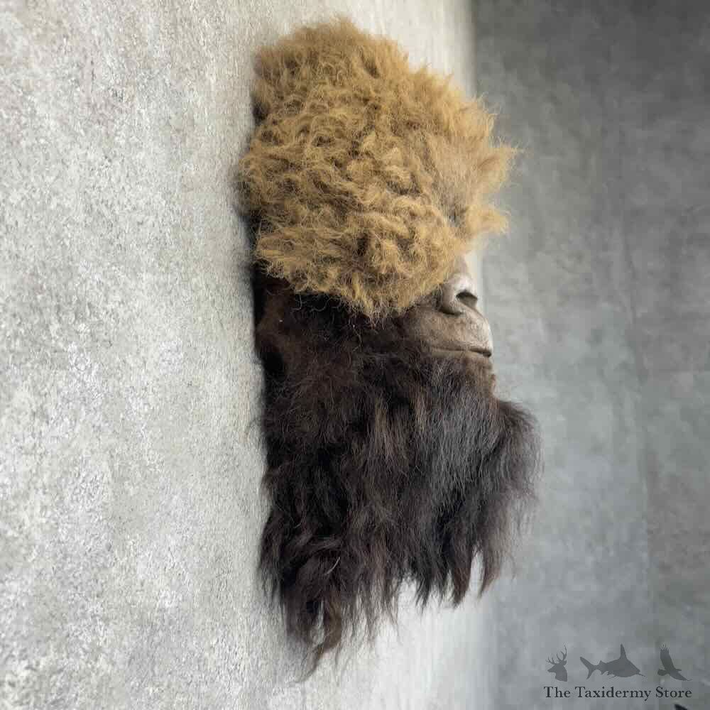 Replica Bigfoot Head Mount For Sale #30918 @ The Taxidermy Store