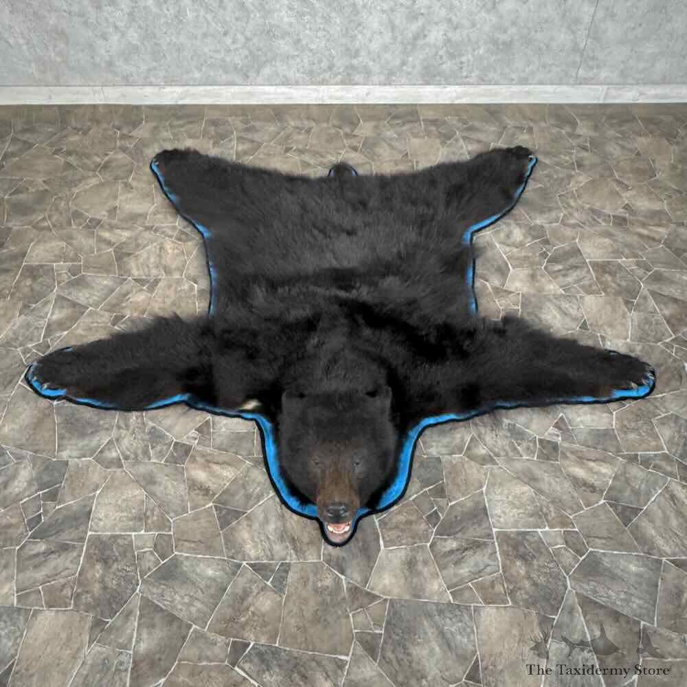 Black Bear Full Size Rug For Sale #31876 @ The Taxidermy Store