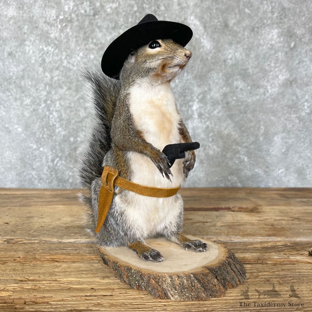 Cowboy Squirrel Novelty Mount For Sale #24358 @ The Taxidermy Store