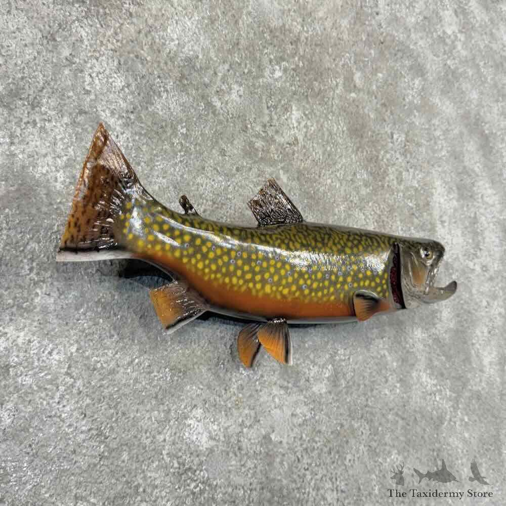 Brook Trout Fish Mount For Sale #32220 @ The Taxidermy Store