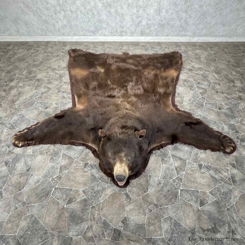 Cinnamon Black Bear Full Size Rug For Sale #31877 @ The Taxidermy Store