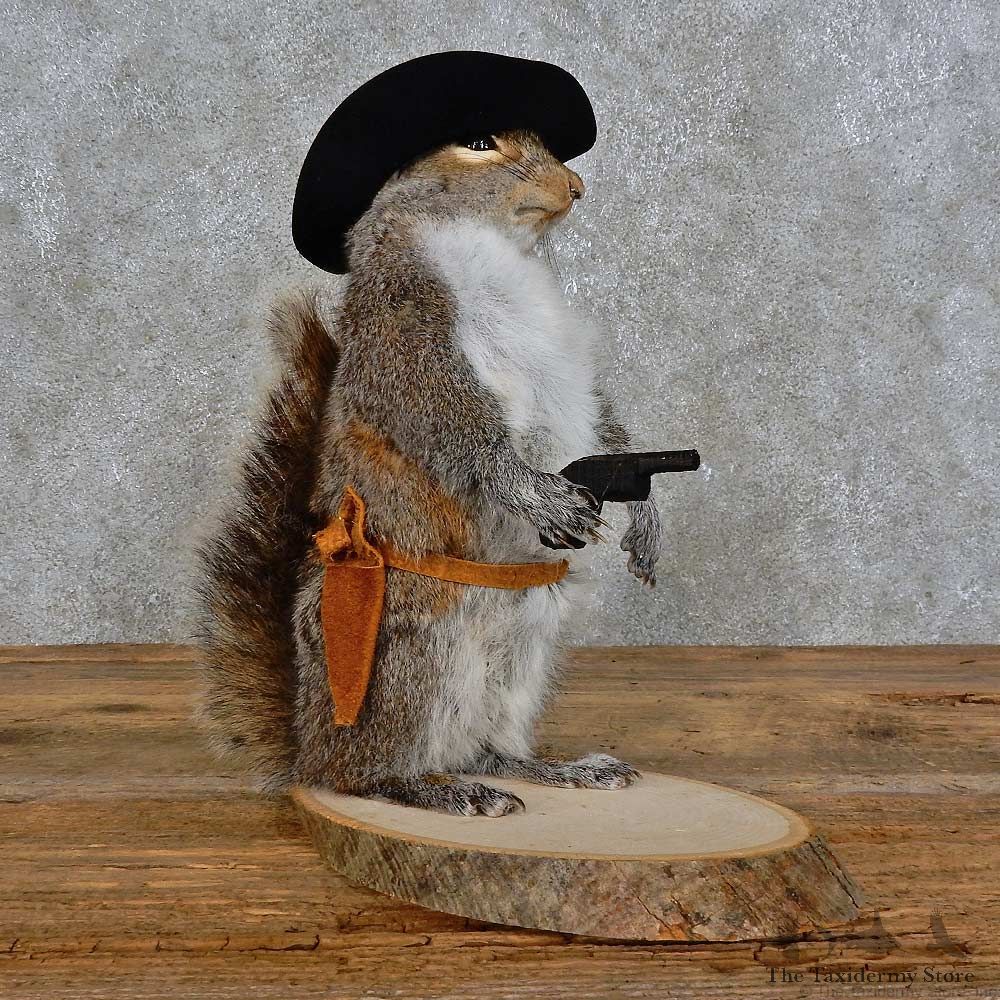 Cowboy Squirrel Novelty Mount For Sale #15949 @ The Taxidermy Store