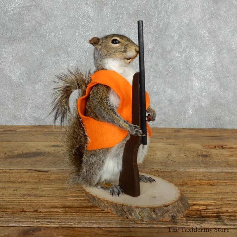 Hunting Squirrel Novelty Mount For Sale #18038 @ The Taxidermy Store