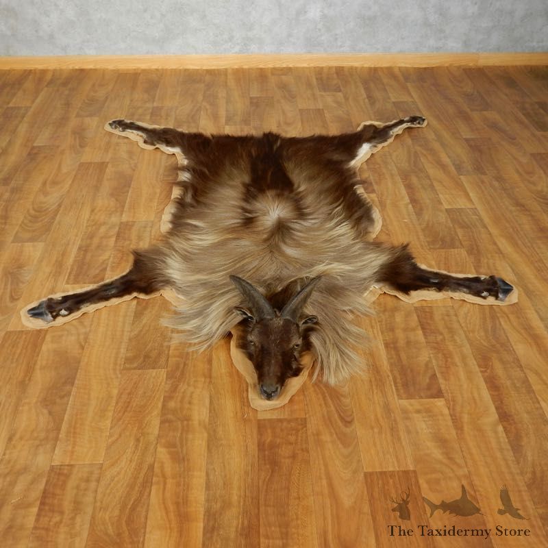 Himalayan Tahr Taxidermy Rug Mount #17430 For Sale @ The Taxidermy Store