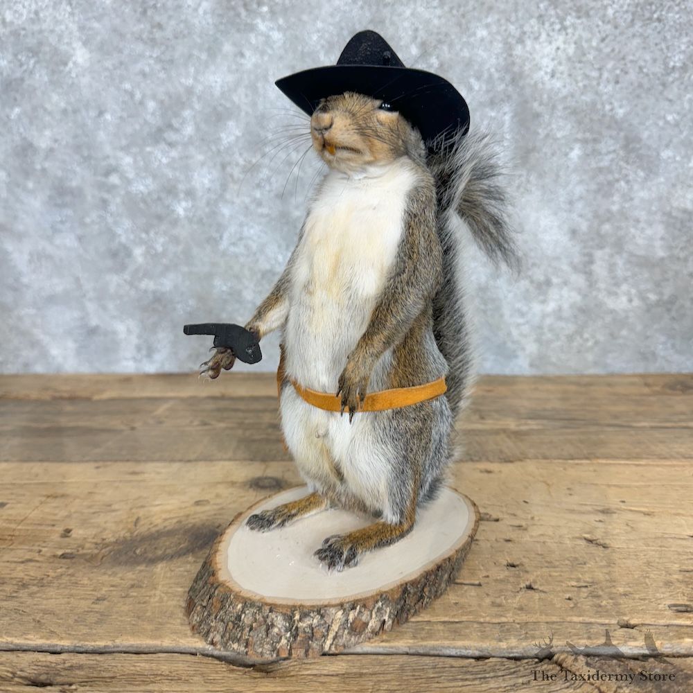 Cowboy Squirrel Novelty Mount For Sale #29474 @ The Taxidermy Store