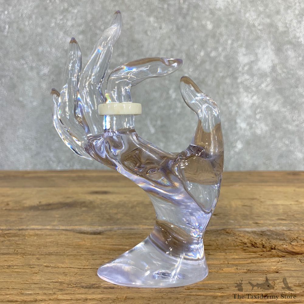 Whitetail Deer Antler Ring For Sale #21213 @ The Taxidermy Store