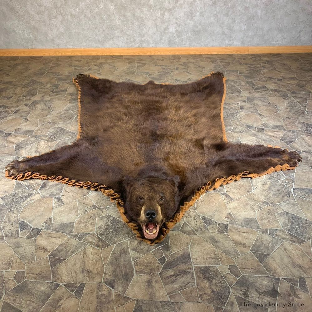 Chocolate Phase Black Bear Full-Size Rug For Sale #24002 @ The Taxidermy Store