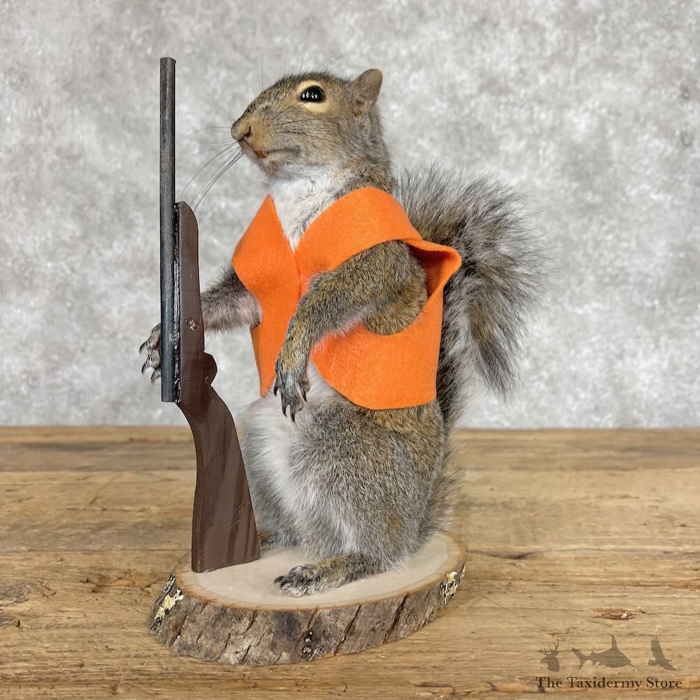 Hunting Squirrel Novelty Mount For Sale #28619 @ The Taxidermy Store