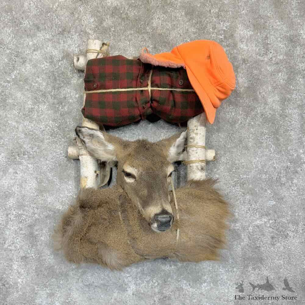 Whitetail Deer Doe Pack Mount For Sale #31369 @ The Taxidermy Store