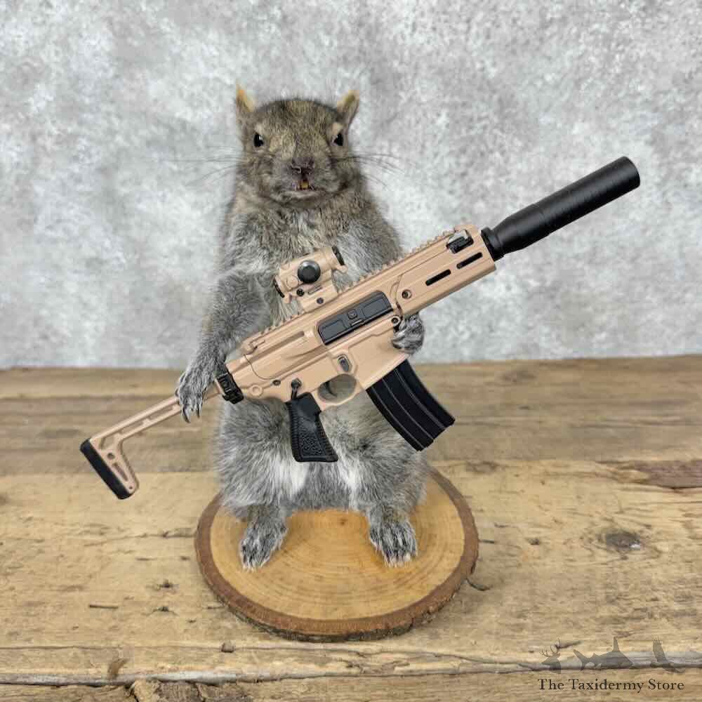 Novelty Grey Squirrel Mount For Sale #31606 @ The Taxidermy Store