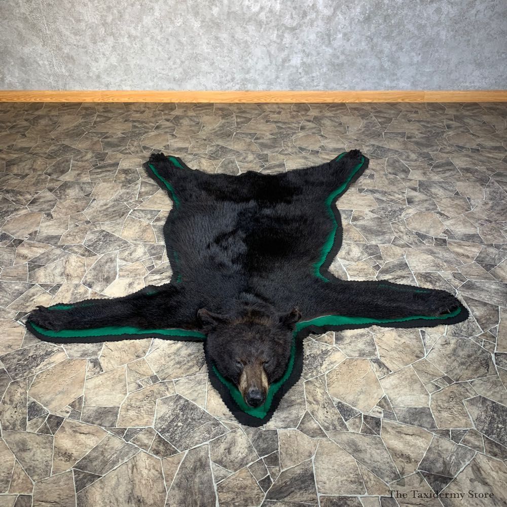 Black Bear Full-Size Rug For Sale #27854 @ The Taxidermy Store