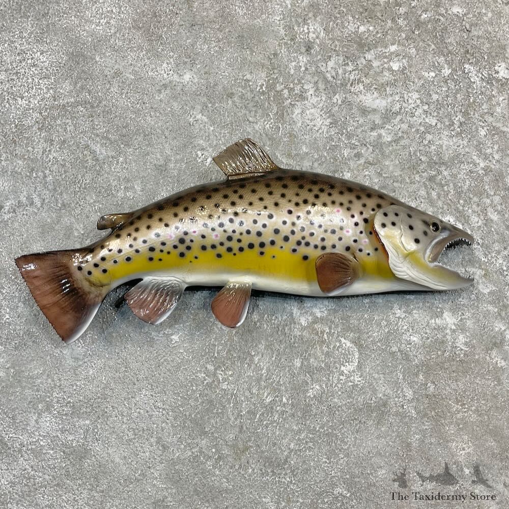 Brown Trout Fish Mount For Sale #27247 @ The Taxidermy Store