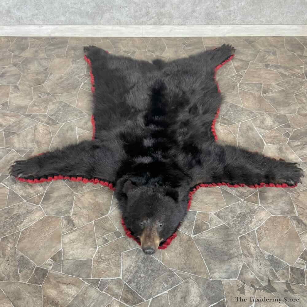 Black Bear Full-Size Rug For Sale #31027 @ The Taxidermy Store