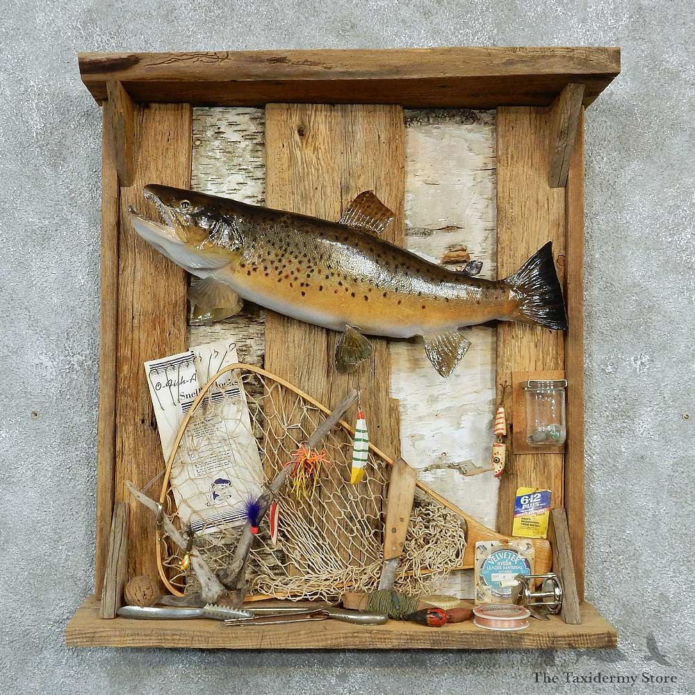 Captain's Classic Brown Trout Display Taxidermy Mount #13304 For Sale @ The Taxidermy Store