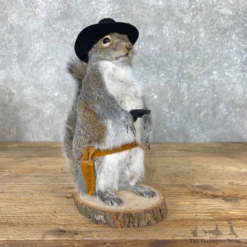 Cowboy Squirrel Novelty Mount For Sale #24971 - The Taxidermy Store