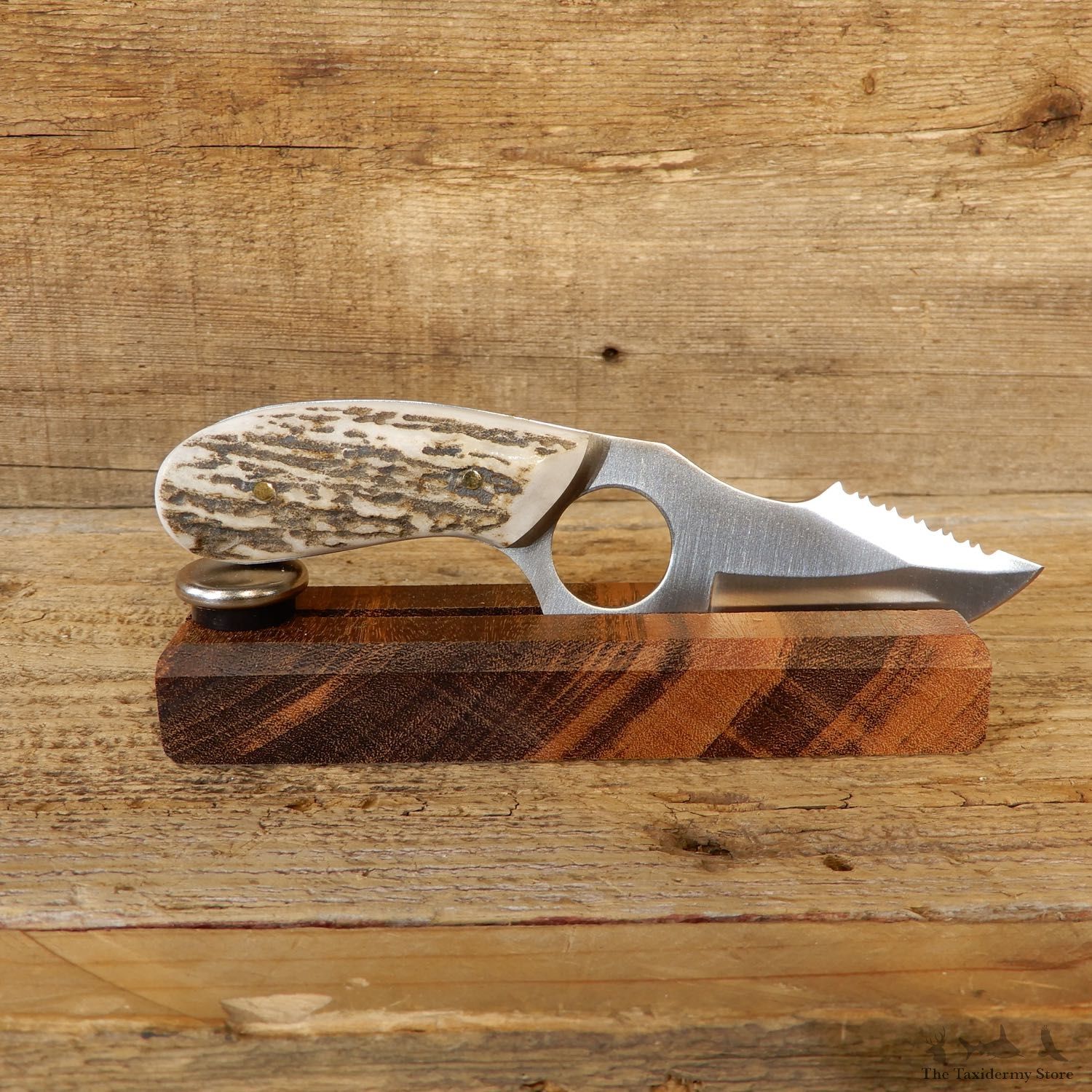 Kodiak Skinning Knife For Sale #19208 - The Taxidermy Store