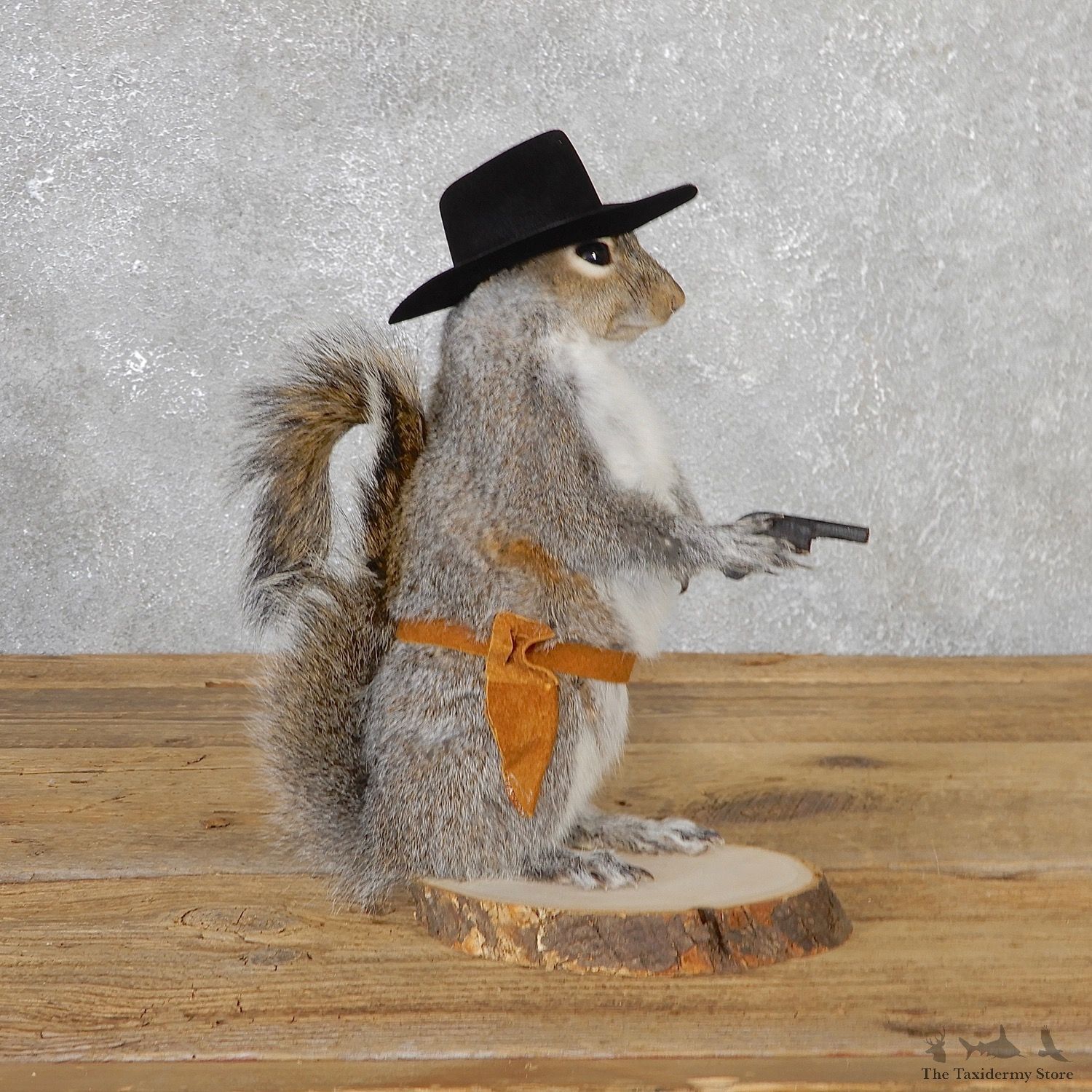 Cowboy Squirrel Novelty Mount For Sale #19066 @ The Taxidermy Store