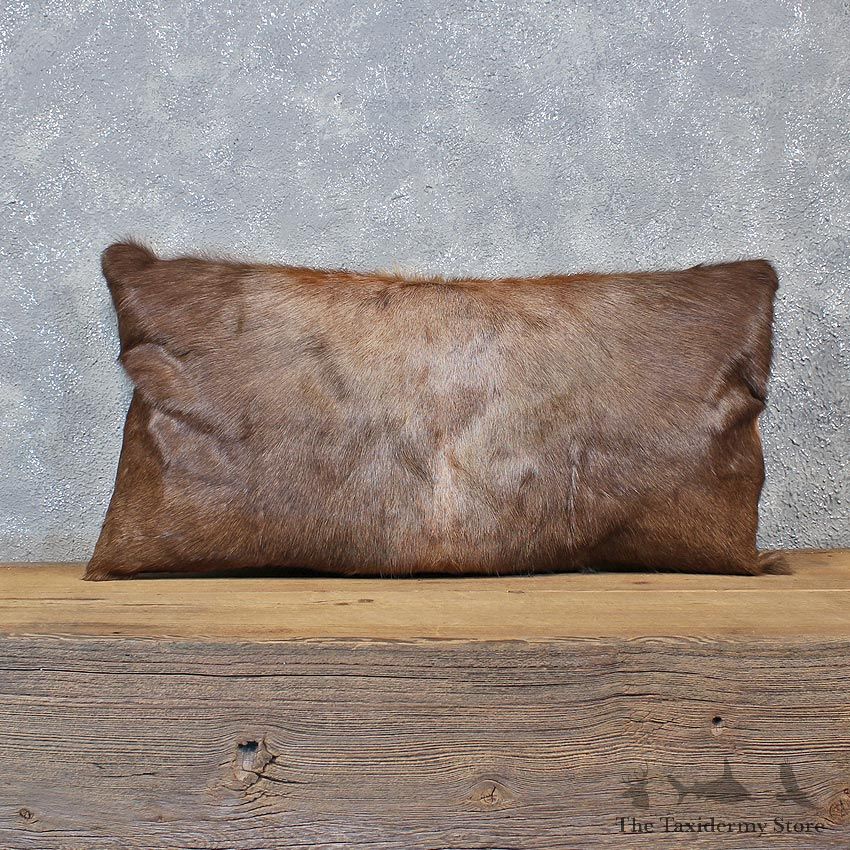 African Blesbok Hide Pillow #12047 For Sale @ The Taxidermy Store