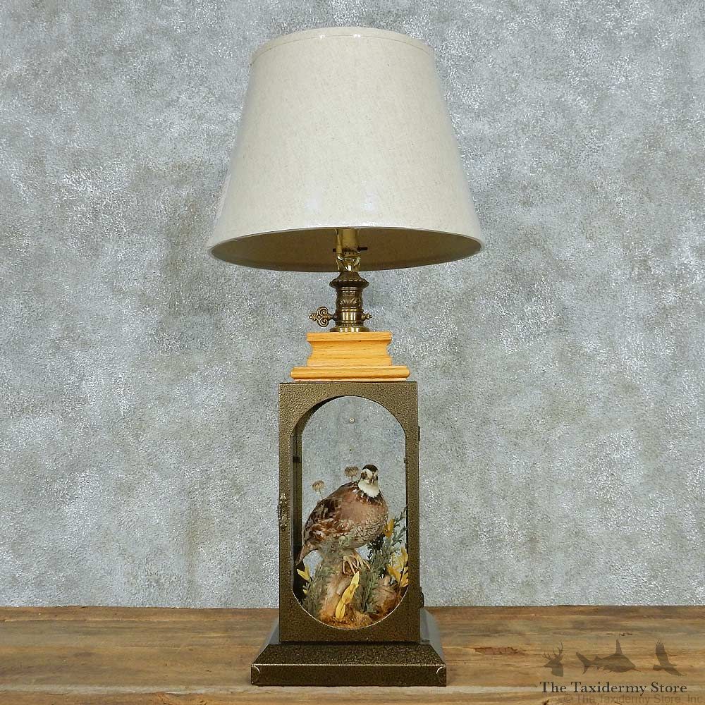 Quail Lamp Life-Size Taxidermy Bird Mount #13518 For Sale @ The Taxidermy Store