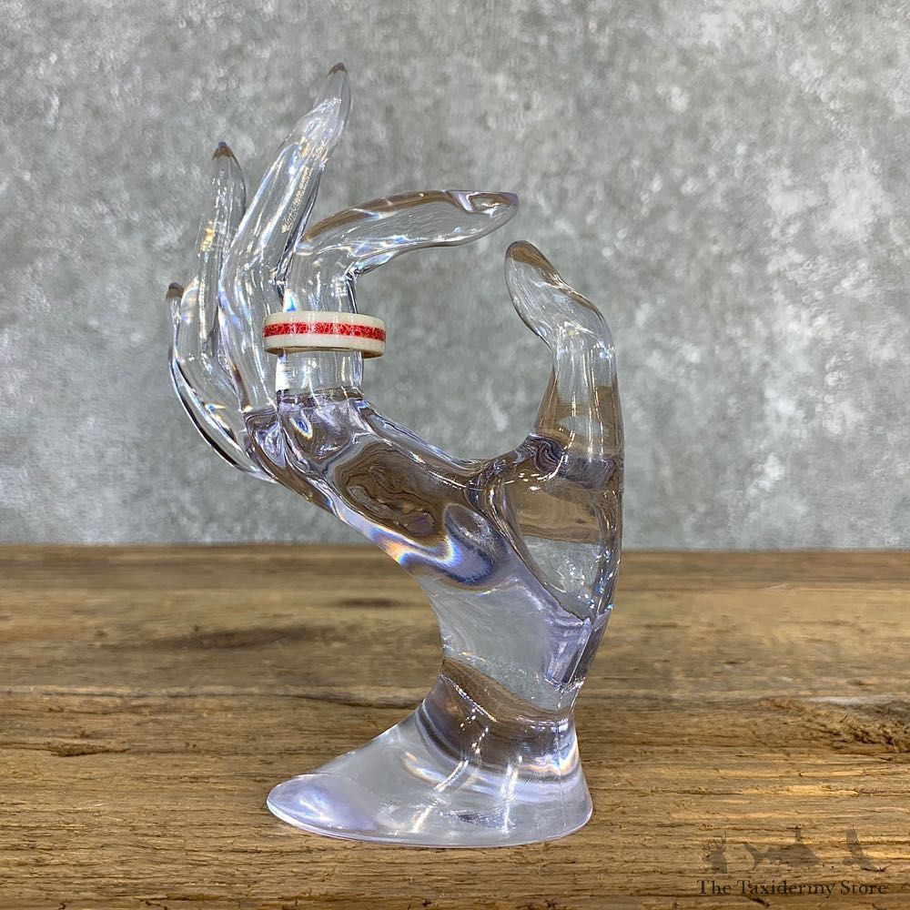 Whitetail Deer Antler Ring with Red Choral Inlay For Sale #21193 @ The Taxidermy Store