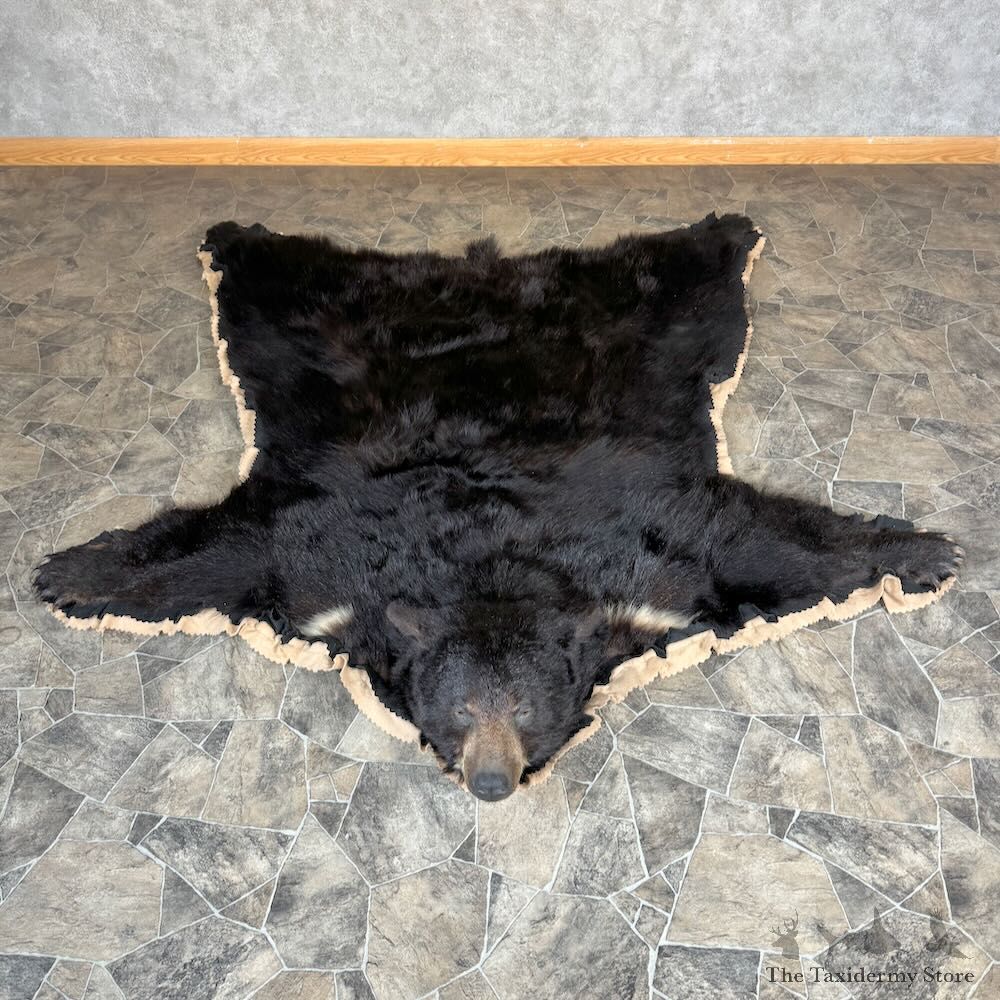 Black Bear Full-Size Rug For Sale #28841 @ The Taxidermy Store